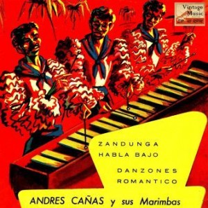 Guatemala Y Sus Marimbas, Andrés Cañas