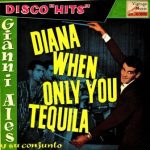 Disco Hits, Gianni Ales