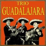 Trio Guadalajara, Trio Guadalajara