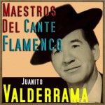 Maestros del Cante Flamenco: Juanito Valderrama